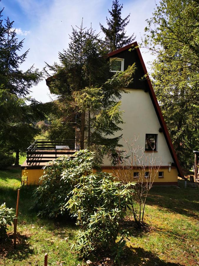 Wojtowka 16 Villa Ladek-Zdroj Bagian luar foto