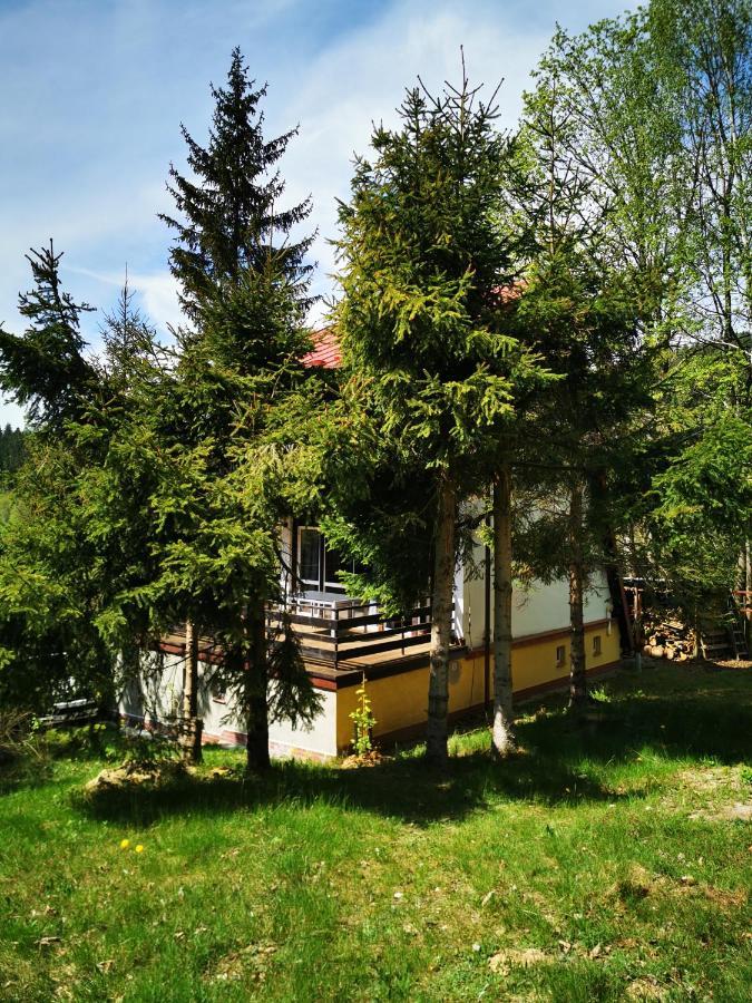 Wojtowka 16 Villa Ladek-Zdroj Bagian luar foto