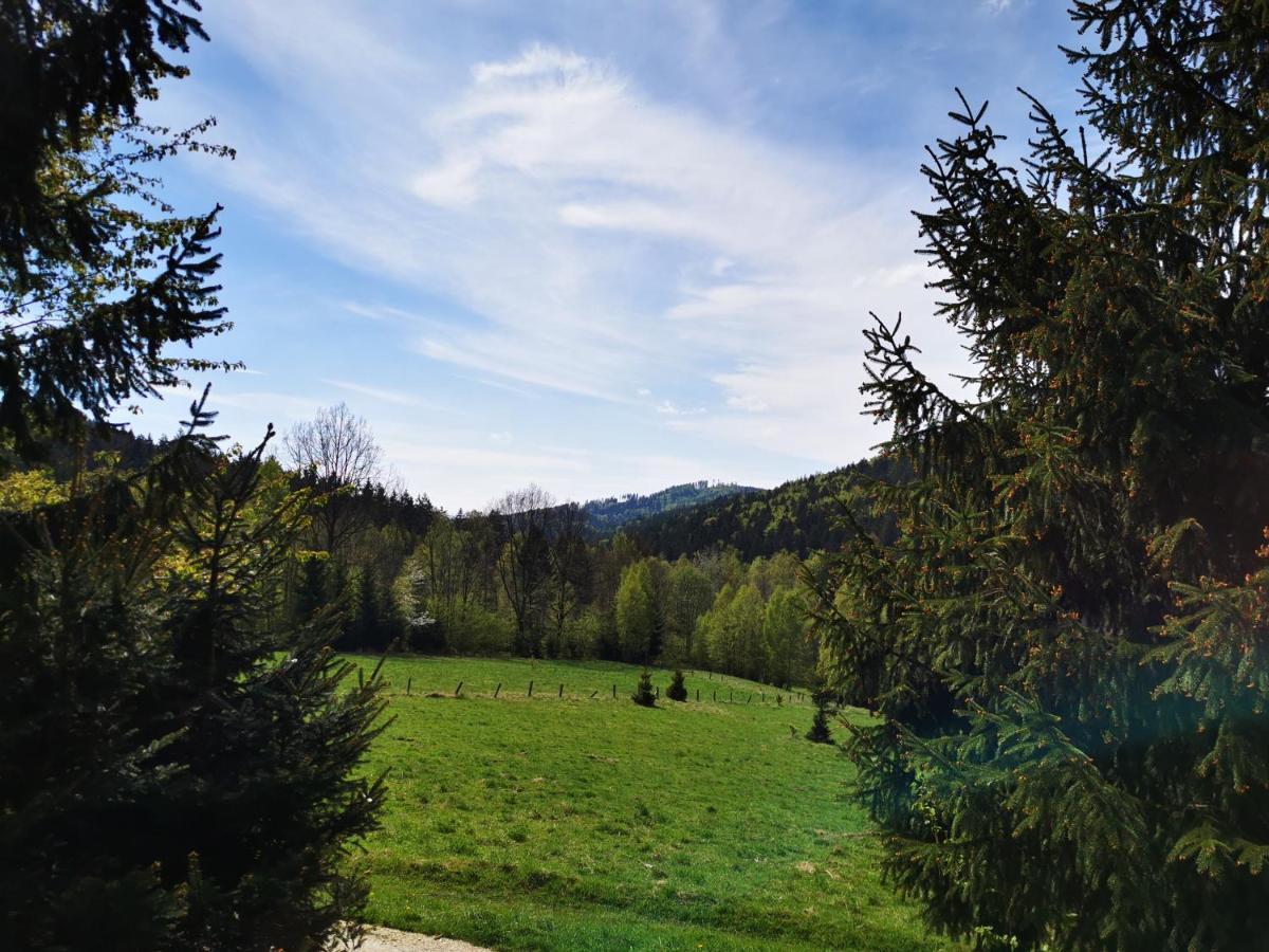 Wojtowka 16 Villa Ladek-Zdroj Bagian luar foto