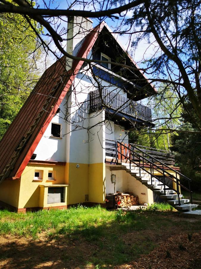 Wojtowka 16 Villa Ladek-Zdroj Bagian luar foto