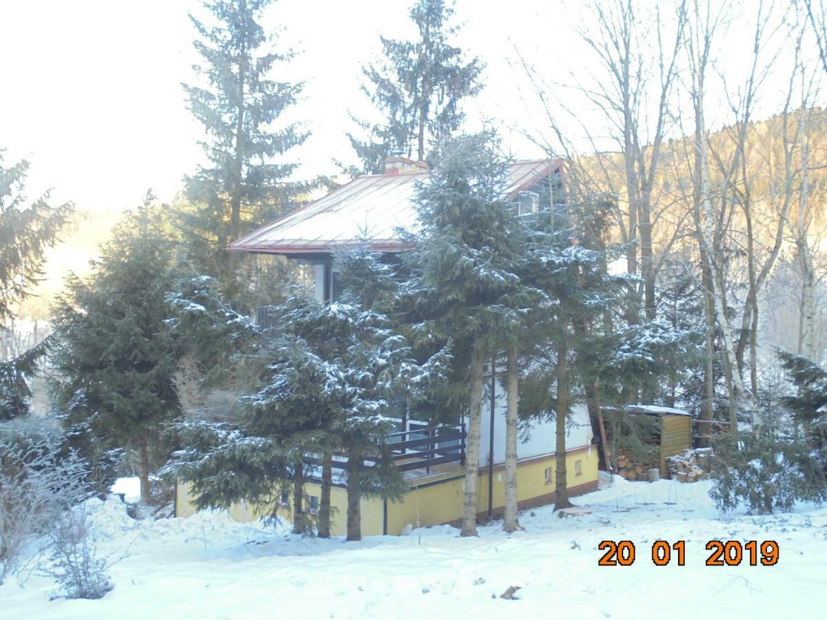 Wojtowka 16 Villa Ladek-Zdroj Bagian luar foto