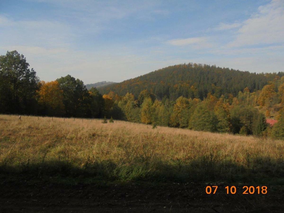Wojtowka 16 Villa Ladek-Zdroj Bagian luar foto