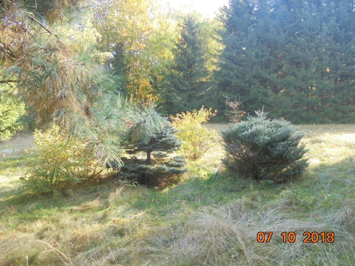Wojtowka 16 Villa Ladek-Zdroj Bagian luar foto