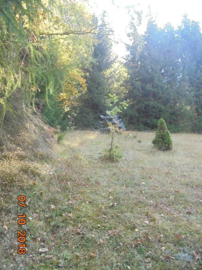 Wojtowka 16 Villa Ladek-Zdroj Bagian luar foto